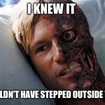 Bloody heatwave, man! This is why I hate climate change deniers. | I KNEW IT; I SHOULDN’T HAVE STEPPED OUTSIDE TODAY | image tagged in two face | made w/ Imgflip meme maker