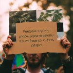 Cannabis is ai