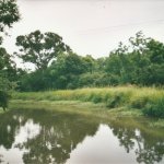 Young's South Coulee, Abbeville, LA