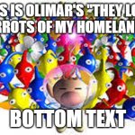 e | THIS IS OLIMAR'S "THEY LOOK LIKE CARROTS OF MY HOMELAND" ARMY; BOTTOM TEXT | image tagged in pikmins | made w/ Imgflip meme maker