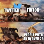 true tho | TIKTOK; TWITTER; PEOPLE WITH AN IQ OVER 25 | image tagged in kong godzilla doge | made w/ Imgflip meme maker