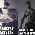 Strongest Fan VS Weakest Fan | STRONGEST TURKEY FAN; WEAKEST (LITERALLY ANYONE ELSE) FAN | image tagged in strongest fan vs weakest fan | made w/ Imgflip meme maker