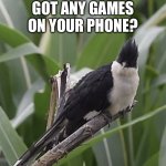 Got bored | GOT ANY GAMES ON YOUR PHONE? | image tagged in staring cuckoo,games,video games,random,bird,a random meme | made w/ Imgflip meme maker