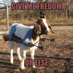 Goat wants fredom | GIVE ME FREDOM; OR ELSE | image tagged in call of duty goat | made w/ Imgflip meme maker