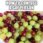 If you're confused... | HOW TO CONFUSE A GAY PERSON | image tagged in grapes | made w/ Imgflip meme maker