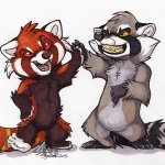 Raccoon and red panda meme