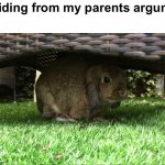 Facts | Me hiding from my parents argument: | image tagged in bunny hiding in the shade,funny,memes,funny memes,bunnies,rabbit | made w/ Imgflip meme maker
