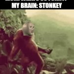 hehehehehe... | MOM: WHATS SO FUNNY?
MY BRAIN: STONKEY | image tagged in gifs,stonks,stonkey,monkey puppet | made w/ Imgflip video-to-gif maker