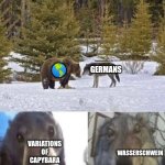 bear vs wolf | 🌎; GERMANS; VARIATIONS OF CAPYBARA; WASSERSCHWEIN | image tagged in bear vs wolf | made w/ Imgflip meme maker