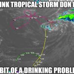 Don | I THINK TROPICAL STORM DON HAS; A BIT OF A DRINKING PROBLEM | image tagged in don | made w/ Imgflip meme maker