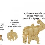 Relatable | My brain remembering cringe moments when I’m trying to sleep; My brain remembering things when I’m gaming; My brain remembering things at school | image tagged in cheems buff doge ultra doge,memes,funny,relatable,buff doge vs cheems | made w/ Imgflip meme maker