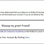 Moderation Be Like: | Warning; 12/5/2009; Wassup my great friend? Inappropiate; Here; You Can Reactivate Your Account By Clicking         . | image tagged in banned from roblox 2008 interface edition | made w/ Imgflip meme maker