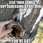 Our associations are our own responsibility. Weirdos. | IF YOU SEE ANYTHING ELSE THAN SOME GUY CARESSING A TREE HERE; YOU'VE GOT A DIRTY MIND | image tagged in hand,birch,tree,associations,dirty mind | made w/ Imgflip meme maker