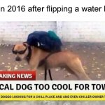 Too cool for school | Kids in 2016 after flipping a water bottle: | image tagged in local dog too cool for town,memes,funny,true story,relatable memes,school | made w/ Imgflip meme maker