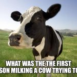 cow | WHAT WAS THE THE FIRST PERSON MILKING A COW TRYING TO DO | image tagged in cow | made w/ Imgflip meme maker