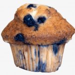 Blueberry Muffin