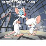 Melange | Pinky was always several steps ahead of Brain... | image tagged in pinky and the brain,spice,dune,prescient sight | made w/ Imgflip meme maker