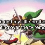 True | Me and my little brother fighting over the tv remote | image tagged in gifs,truth | made w/ Imgflip video-to-gif maker