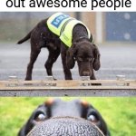 This dog is trained to sniff out X | This dog is trained to sniff out awesome people | image tagged in this dog is trained to sniff out x | made w/ Imgflip meme maker