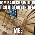 #Funny memes for life | MY MOM SAID SHE WILL CHECK MY SEARCH HISTORY IN 10 MINUTES; ME: | image tagged in dropping phone down stairs | made w/ Imgflip meme maker