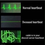 heartbeat | caleb is in your discord server heartbeat | image tagged in heartbeat normal heartbeat deceased heartbeat | made w/ Imgflip meme maker