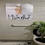 Let it grow meme