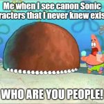A Sonic Meme | Me when I see canon Sonic characters that I never knew existed:; WHO ARE YOU PEOPLE! | image tagged in patrick who are you people,sonic the hedgehog,sonic meme | made w/ Imgflip meme maker