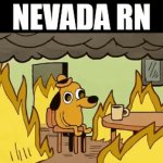 110°F+ | NEVADA RN | image tagged in gifs,this is fine | made w/ Imgflip video-to-gif maker