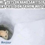 ouch | ME: *PUTS ON HAND SANITISER*
THE TINY CUT I DIDN'T KNOW WAS THERE: | image tagged in bonjour bear,hand sanitizer,memes,funny,bear,hurt | made w/ Imgflip meme maker