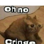 Lot of people do this lmao | Me looking at my old memes: | image tagged in oh no cringe,funny,memes,funny memes,cringe | made w/ Imgflip meme maker