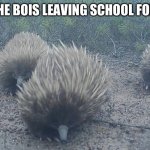 Any school kid can relate | ME AND THE BOIS LEAVING SCHOOL FOR THE DAY | image tagged in echidna gang | made w/ Imgflip meme maker