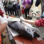 Playlist in image desc