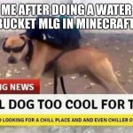 Average bottle flip experience | ME AFTER DOING A WATER BUCKET MLG IN MINECRAFT | image tagged in local dog too cool for town | made w/ Imgflip meme maker