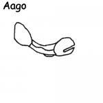 Aago