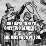 Witch Hunt! | SHE SAYS THERE'S ONLY TWO GENDERS.                          SHE MUST BE A WITCH. | image tagged in witch hunt | made w/ Imgflip meme maker