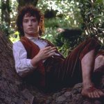 Frodo Sitting in a Tree