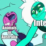 Malachite punching Alexandrite | Animals in Australia; Internet | image tagged in malachite punching alexandrite | made w/ Imgflip meme maker