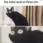I’m gonna die | Me after accidentally slamming the toilet seat at three am: | image tagged in oh no cat,memes,funny,true story,relatable memes,3am | made w/ Imgflip meme maker