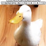 Always tastes good | WHEN YOU GET OLD ENOUGH TO TASTE TEST THE FOOD YOUR MOM MAKES | image tagged in smile duck,funny,memes,cute,food,mom | made w/ Imgflip meme maker