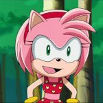 Amy Rose Swimsuit