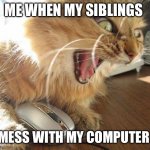 Small Angry Cat Except He's On A Computer : r/MemeTemplatesOfficial