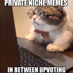 feeling silly tonight | ME MAKING MY PRIVATE NICHE MEMES; IN BETWEEN UPVOTING MEMES MADE BY CHILDREN | image tagged in research cat | made w/ Imgflip meme maker