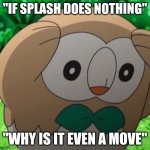 he's right | "IF SPLASH DOES NOTHING"; "WHY IS IT EVEN A MOVE" | image tagged in rowlet meme template | made w/ Imgflip meme maker