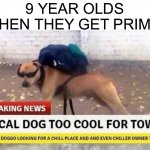 My brother fr loves prime for some reason | 9 YEAR OLDS WHEN THEY GET PRIME: | image tagged in local dog too cool for town | made w/ Imgflip meme maker