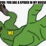 Squish that spider!!! | POV: YOU ARE A SPIDER IN MY HOUSE; ME | image tagged in frog slap | made w/ Imgflip meme maker