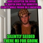 -Good help. Really friendship. | -HAVE ACCEPTED THE OFFER TO WATCH OVER THE DOMESTIC PLANTS WHILE FRIEND ON A VACATION. SILENTLY SEEDED THERE MJ FOR GROW. | image tagged in memes,scumbag steve,smoke weed everyday,plants vs zombies,summer vacation,friendship ended | made w/ Imgflip meme maker