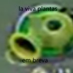 la viva plantas em breva