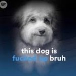 This dog is fucked up bruh meme