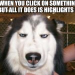 Fr | WHEN YOU CLICK ON SOMETHING BUT ALL IT DOES IS HIGHLIGHTS IT | image tagged in annoyed dog | made w/ Imgflip meme maker