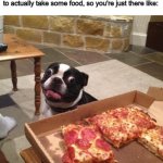 Literally me ._. | When you're a guest at someone's house, and you're 100% welcome to take food that they have put out for you, but you're still too anxious to actually take some food, so you're just there like: | image tagged in hungry pizza dog | made w/ Imgflip meme maker